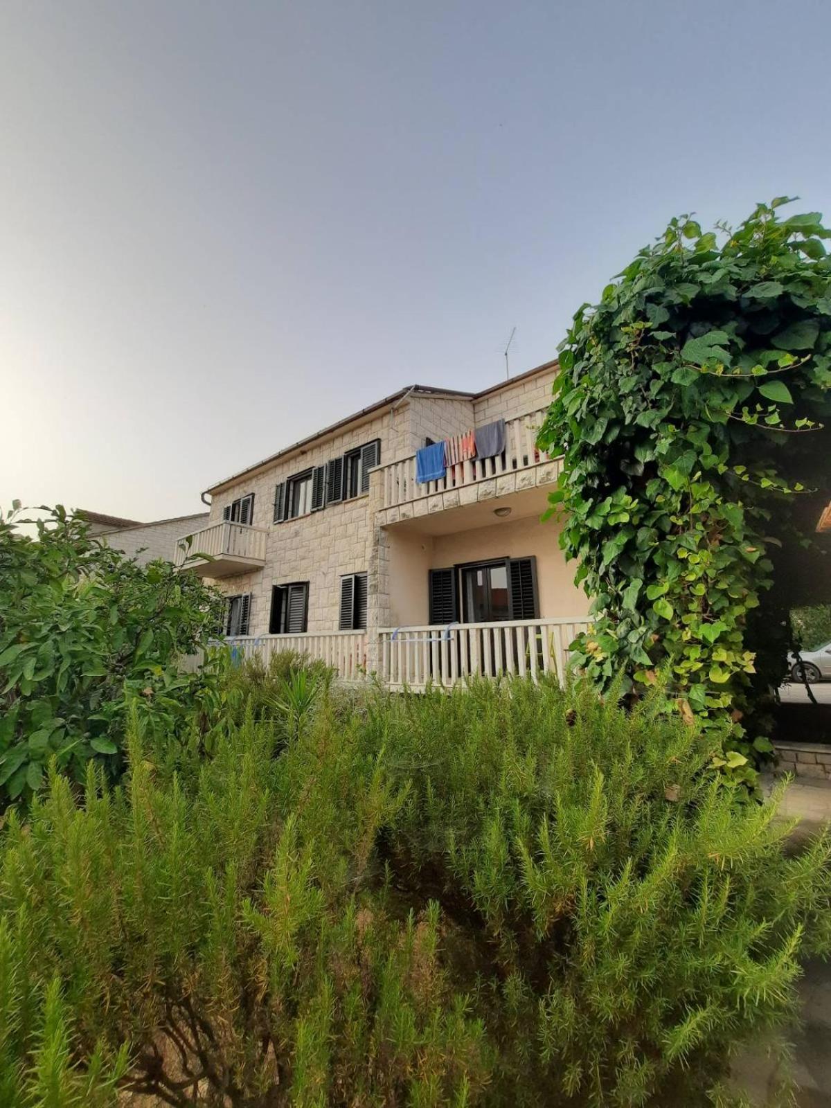 Bed and Breakfast Pansion Drvo Supetar Exterior foto